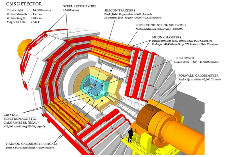 CMS Detector diagram