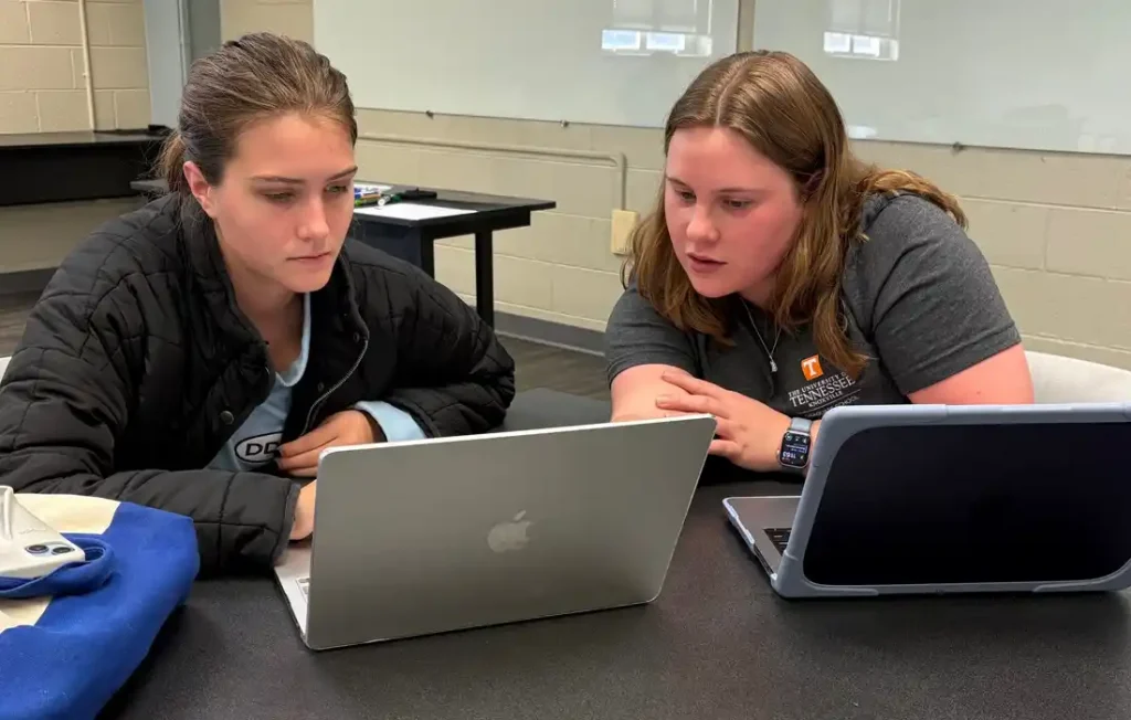 Two people working on laptops