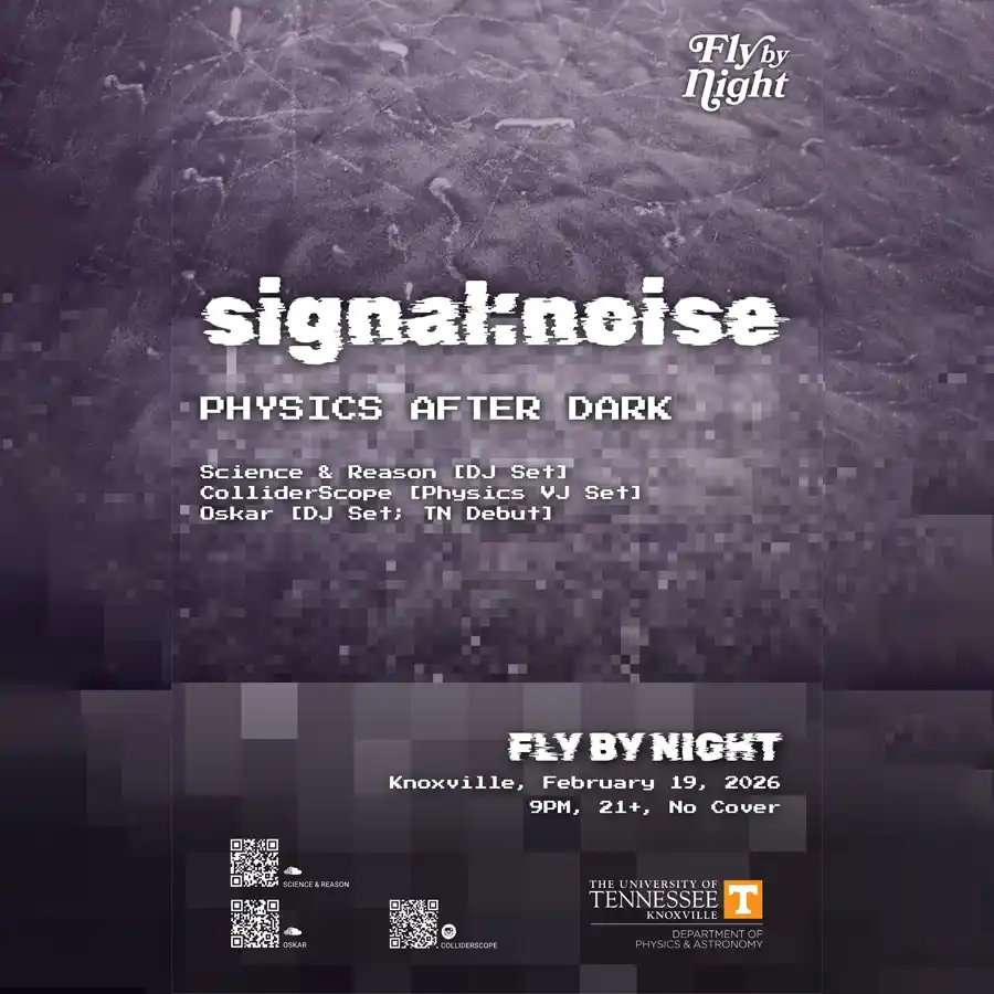 signal:noise advertisement for February 19 DJ and VJ show at Fly by Night