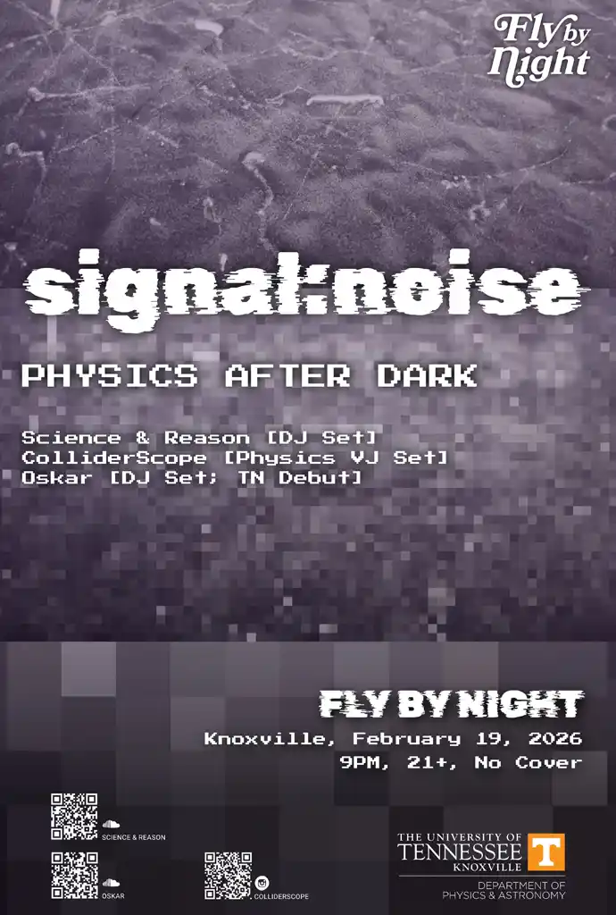 signal:noise DJ and VJ show announcement for February 19 at 9 pm at Fly By Night in Knoxville